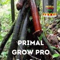 +27710732372 Penis Enlargement Remedies In Valtopina Comune in Italy And Johannesburg South Africa