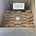 Explore African Coffee Exporters & Importers +27631501216 | Top Best Robusta Coffee Beans Suppliers 