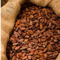 Export African Cocoa Powder Supplier | Source Premium cocoa Sudan USA, UK, South Africa +27631501216