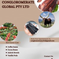 Luwak Coffee Suppliers and Manufacturers  (【﻿+27631501216】) We now sell 50kg of WILD Arabic Ko