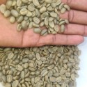  Green Coffee beans (Arabica Coffee) Grade: AA, A, and AB+27719755564