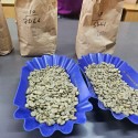 Export and Import Coffee Beans to Europe | Coffee Bean Imports and Export in United States +27631501