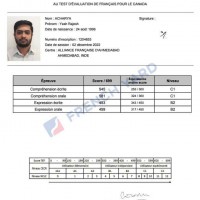 WhatsApp +31 687546855 Acquire Your Original TEF Certificate Without the Test 