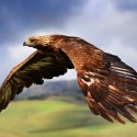 Combination of voodoo and black magic death spells in USA +256700968783