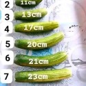 Penis enlargement pills for men in Kimberley+27 71 009 6483 