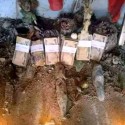 ™™°°¬{+2348028911519} ™™I want to join occult for money ritual in Europe. 