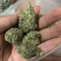 WhatsApp +12253024741 Buy weed in Sharjah Buy weed in Ras Al Khaimah 
