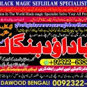 Amil Baba Tantrik Pandit Hindu Astrologer Love Problem Amil Baba Divorce Problem Sloution A1
