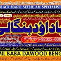Love Vashikaran Specialist Kala Jadu Expert Specialist In USA Kala Jadu Expert In UAE B6