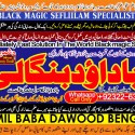 Kala Ilam Expert Specialist In Australia Astrologer Amil Baba Kala Jadu Expert Specialist In UK B6
