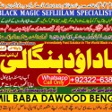Amil Baba Tantrik Pandit Hindu Astrologer Love Problem Amil Baba Divorce Problem Sloution B5