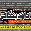 Amil Baba in Rawalpindi Contact Number Amil in Rawalpindi Kala ilam Specialist In Rawalpindi B6