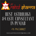 Vashikaran Specialist Astrologer +91 9965500027