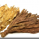 Find Suppliers of Tobacco  United States  China  Japan  Germany  India  United Kingdom  France