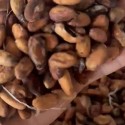 Cocoa Exporter Near Me | Buy Fermented Dried Raw Cacao Beans +27631501216