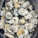 Buy Psychedelics, magic mushrooms ,mushroom capsules , psilocybin mushrooms,DMT,LSD, psilocybin caps