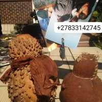 Unlock the Energy of Fortune — The Mystic Lotto Spell