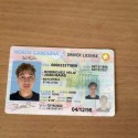 Where to Get UK Driving Licence, Passport , Work Permits and Visa Consultant.