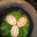  Bring back lost lover spell Canada   ,+27735584255 SOUTH AFRICA .