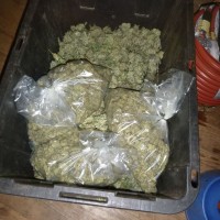 WhatsApp +12253024741 Buy weed in Umm al-Qaiwain Buy weed in Fujairah 