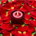 POWERFUL LOVE SPELLS IN DURBAN +27717581948 BEST LOST LOVE ASTROLOGER IN DURBAN, LITTLE ROCK, ISTANB